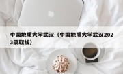 中国地质大学武汉（中国地质大学武汉2023录取线）