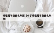 编程是学些什么东西（小学编程是学些什么东西）