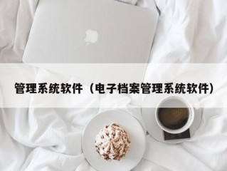 管理系统软件（电子档案管理系统软件）