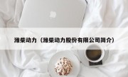 潍柴动力（潍柴动力股份有限公司简介）