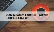 苏州2022年新生儿爆款名字（苏州2022年新生儿爆款名字5）