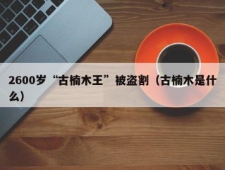 2600岁“古楠木王”被盗割（古楠木是什么）