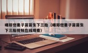 曝郑恺妻子苗苗生下三胎（曝郑恺妻子苗苗生下三胎视频在线观看）