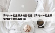 消耗人体能量最多的器官是（消耗人体能量最多的器官是蚂蚁庄园）