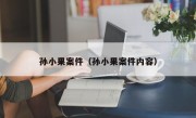 孙小果案件（孙小果案件内容）