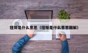 扭矩是什么意思（扭矩是什么意思图解）