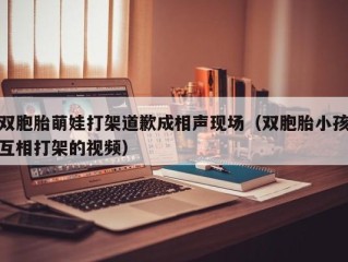 双胞胎萌娃打架道歉成相声现场（双胞胎小孩互相打架的视频）