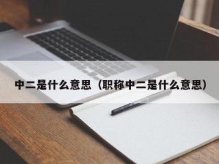 中二是什么意思（职称中二是什么意思）