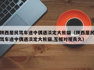 陕西居民驾车途中偶遇淡定大熊猫（陕西居民驾车途中偶遇淡定大熊猫,互相对视良久）