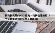 狗狗临死前的15个征兆（狗狗临死前的15个征兆泰迪狗狗突然不会走路）