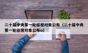 二十届中央第一轮巡视对象公布（二十届中央第一轮巡视对象公布u）