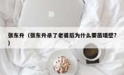 张东升（张东升杀了老婆后为什么要凿墙壁?）