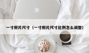 一寸照片尺寸（一寸照片尺寸比例怎么调整）