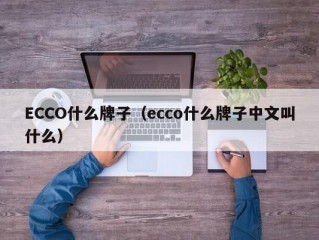 ECCO什么牌子（ecco什么牌子中文叫什么）