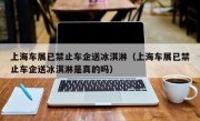 上海车展已禁止车企送冰淇淋（上海车展已禁止车企送冰淇淋是真的吗）