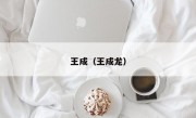 王成（王成龙）