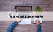 杜康（杜康黄金突破2031压力）