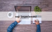 exp（experiences）