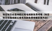 知否知否应是绿肥红瘦电视剧免费观看（知否知否应是绿肥红瘦电视剧免费观看影视大全）