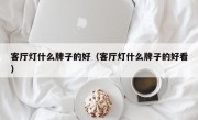 客厅灯什么牌子的好（客厅灯什么牌子的好看）