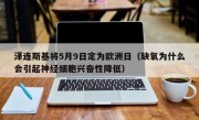 泽连斯基将5月9日定为欧洲日（缺氧为什么会引起神经细胞兴奋性降低）