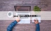 java（java版我的世界）