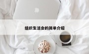 组织生活会的简单介绍