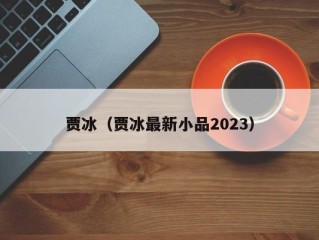 贾冰（贾冰最新小品2023）