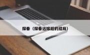 探春（探春远嫁后的结局）