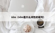 idm（idm是什么词性的缩写）