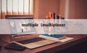 multiple（multiplexer）