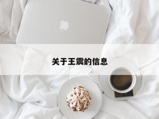 关于王震的信息