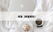 阿呆（阿呆照片）