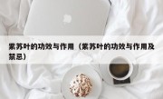 紫苏叶的功效与作用（紫苏叶的功效与作用及禁忌）