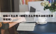 蝴蝶兰怎么养（蝴蝶兰怎么养殖方法和注意事项视频）