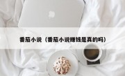 番茄小说（番茄小说赚钱是真的吗）